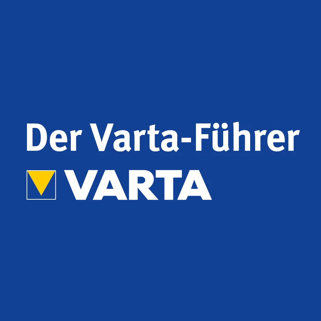 vf-logo-ds